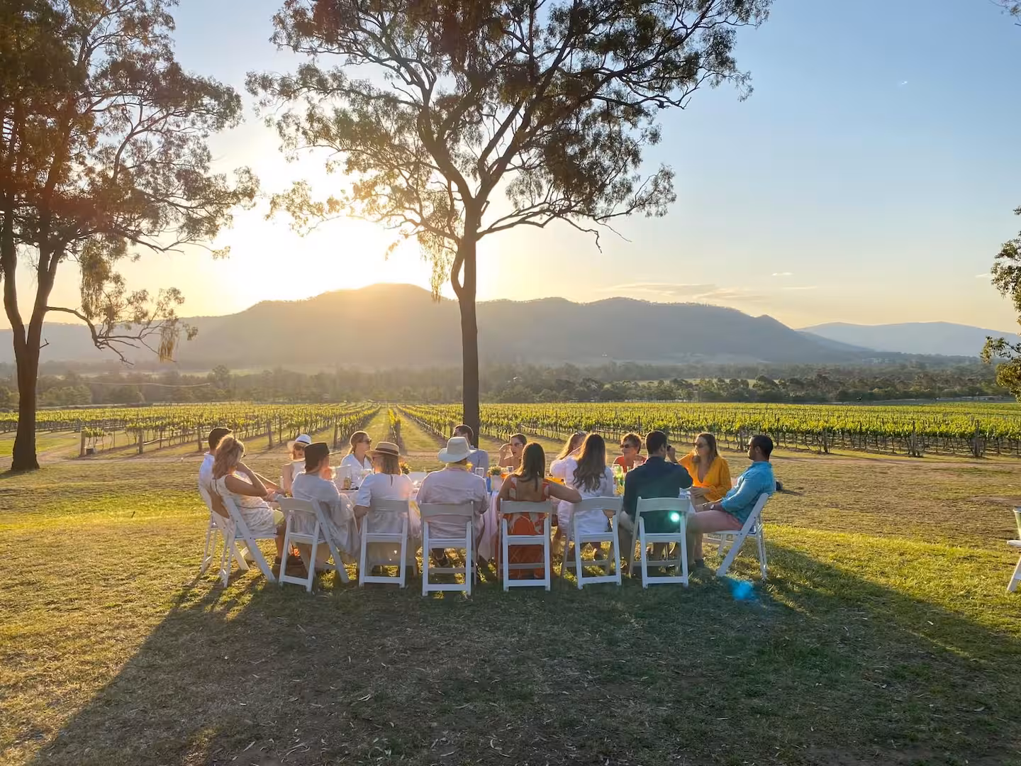 Sunset long-table dinner overlooking a Hunter Valley vineyard
