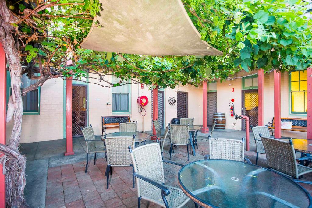 Beer garden under grape vine
